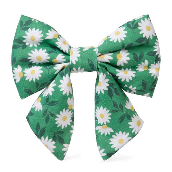 COMING UP DAISIES DOG BOW