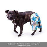 Hawaiian Dog Board Shorts