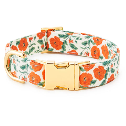 POPPIES DOG COLLAR