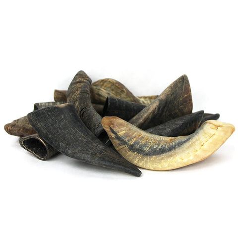 GOAT HORNS