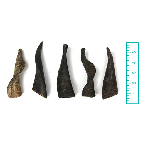 GOAT HORNS