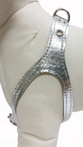 Silver Leather Harness