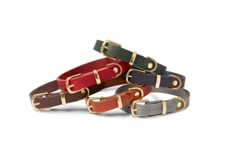 Molly and Stitch US | Butter Leather Dog Harness - Mango, Brass / XXL