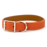 Italian Leather Collar- Orange